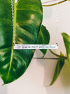 To Thine Own Self Be True - Motivational Bar Necklace